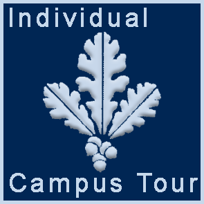 individual tour